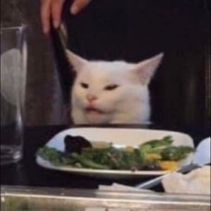 Meet your Posher, Caden